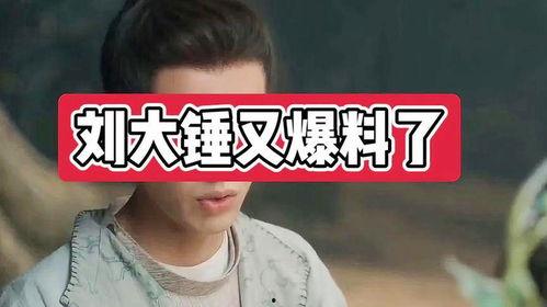 八卦爆料刘大锤视频全集,刘大锤视频全集深度解析